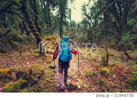 Hike in Nepal jungle 21940730