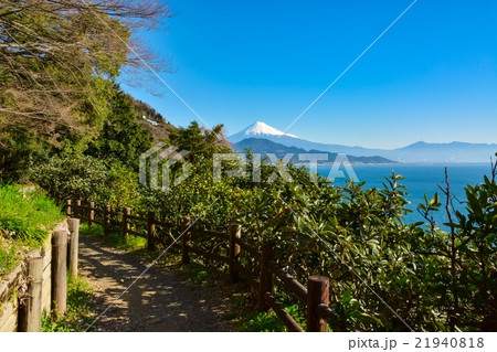 薩埵峠の風景 (28) 21940818