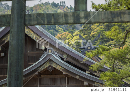 出雲大社 出雲大社 21941111
