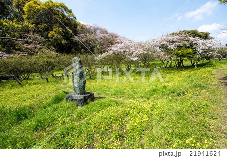九州への旅、太宰府の都府楼跡をご紹介いたします。 21941624
