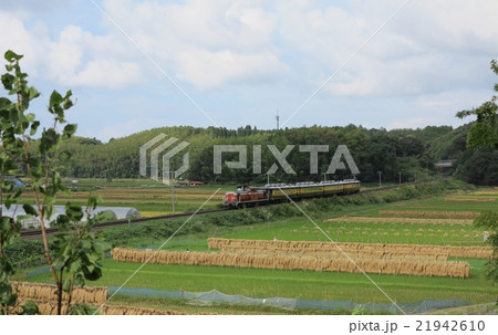 DD51+サロンカーなにわ 14系 泊-松崎 DD51+サロンカーなにわ 14系 泊-松崎 21942610