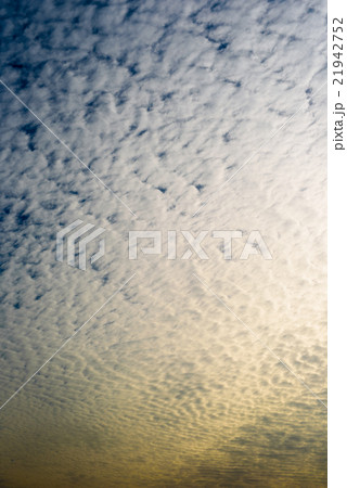 春の夕暮れまだら雲　アート 21942752