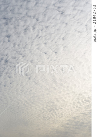 夕暮れまだら雲 夕暮れまだら雲 21942753