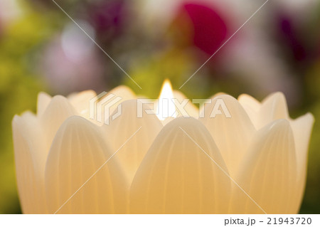 蓮の花の蝋燭 21943720