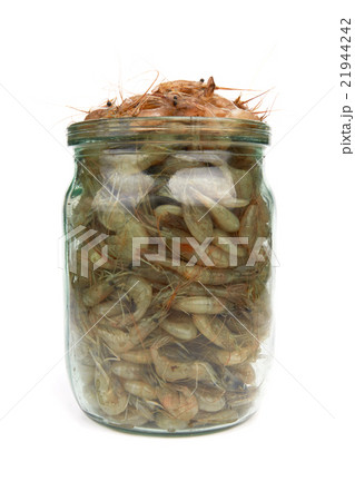 shrimps shrimps 21944242