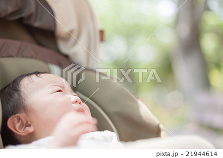 8 months old 21944614