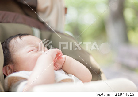 8 months old 21944615