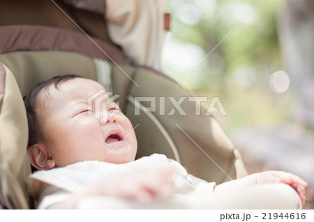 8 months old 21944616