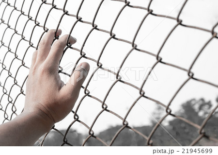 hand on chain-link fence 21945699