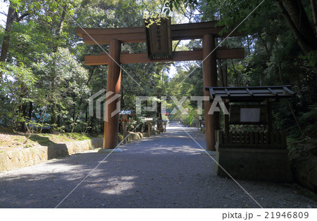 石上神宮「大鳥居」 石上神宮「大鳥居」 21946809