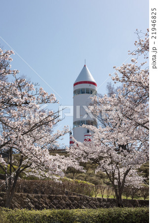 稲荷山公園 稲荷山公園 21946825