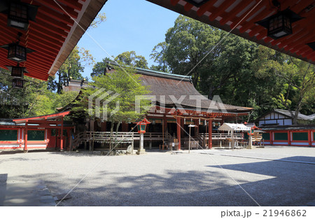 石上神宮、廻廊から見る「拝殿」と「本殿」 石上神宮、廻廊から見る「拝殿」と「本殿」 21946862