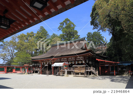 石上神宮、廻廊から見る「拝殿」と「本殿」 石上神宮、廻廊から見る「拝殿」と「本殿」 21946864