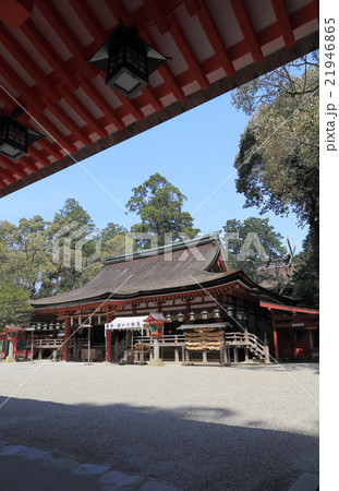 石上神宮、廻廊から見る「拝殿」と「本殿」 石上神宮、廻廊から見る「拝殿」と「本殿」 21946865