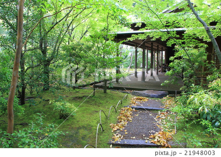 新緑の芳松庵(防府天満宮) 新緑の芳松庵(防府天満宮) 21948003