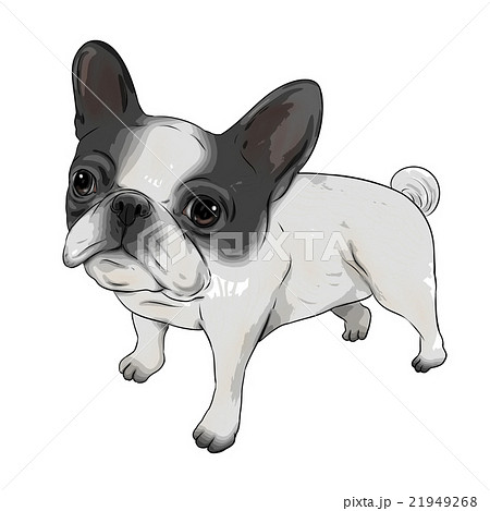 フレンチブルドッグ全身イラスト ポスタリゼーション加工 のイラスト素材