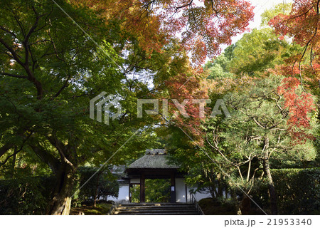 安楽寺　山門 21953340