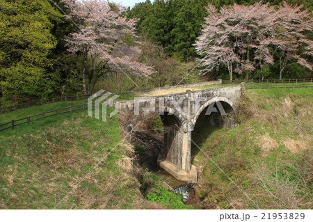 桜と小滝沢橋 桜と小滝沢橋 21953829