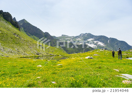 Hiking in the Alps on panoramic footpath 21954046