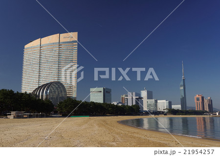 シーホークから福岡タワー 21954257