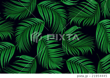 Green leaf of palm tree for background Green leaf of palm tree for background 21954445