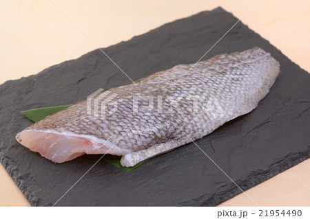 おいしいキツネメバル 21954490
