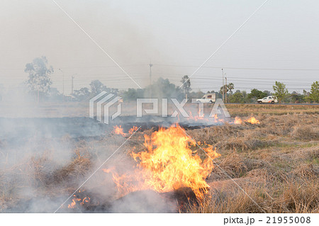Field on fire, burning dry grass near the highway 21955008