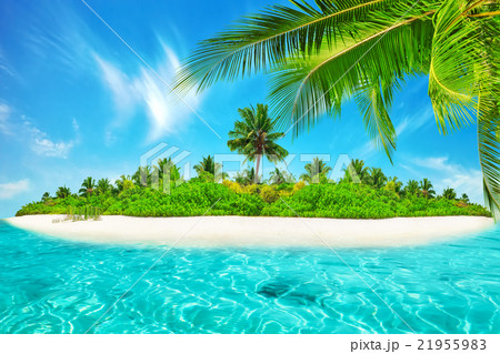 Whole tropical island within atoll in Ocean. Whole tropical island within atoll in Ocean. 21955983