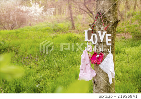 Pink baby shoes and dress hanging on the tree Pink baby shoes and dress hanging on the tree 21956941