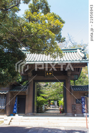 湯島聖堂の仰髙門 湯島聖堂の仰髙門 21956943