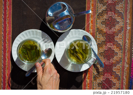 Coca leaves tea known as "Mate de Coca" Coca leaves tea known as "Mate de Coca" 21957180