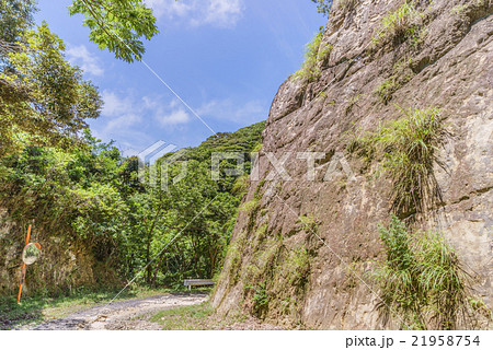 夏の林道金谷元名線の風景 21958754