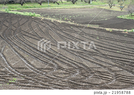 耕作地２２ 21958788