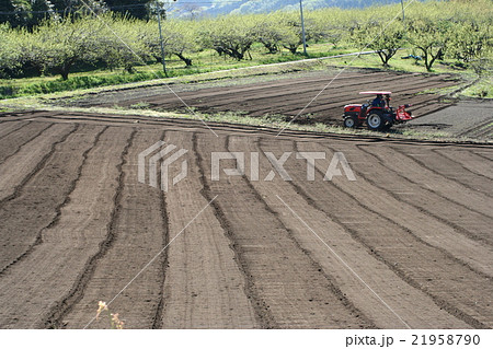 耕作地２４ 21958790