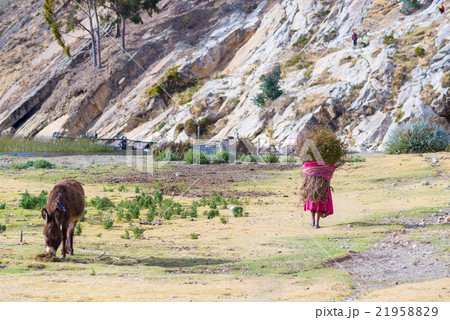 Island of the Sun, Titicaca Lake, Bolivia 21958829
