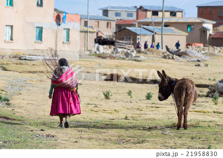Island of the Sun, Titicaca Lake, Bolivia 21958830