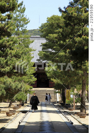 雲水と参道 21959590