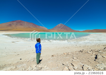 Green Lagoon and Licancabur Volcano on the Bolivian Andes 21960028