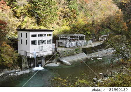 紅葉のユーシン渓谷と玄倉第2発電所 21960189