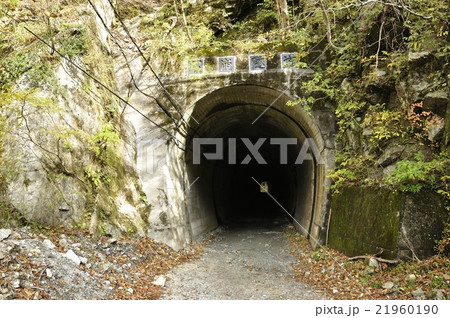 玄倉林道 石崩隧道 21960190