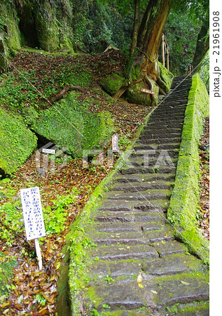 坂本竜馬が新婚旅行で長逗留した塩浸温泉の二人が散歩した当時のままの苔むした石段 21961908