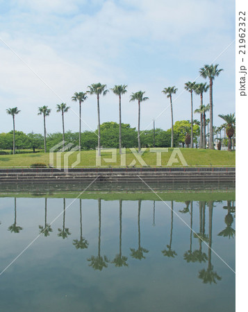 川面に映るフェニックス 荒子川公園 川面に映るフェニックス 荒子川公園 21962322