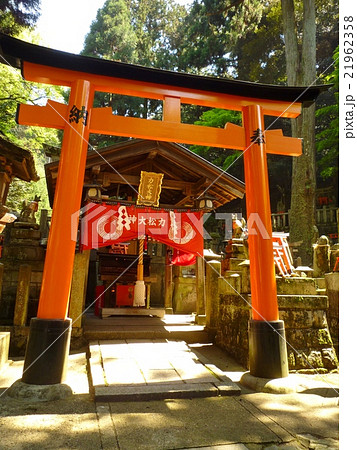 力松大神・伏見稲荷大社 21962358