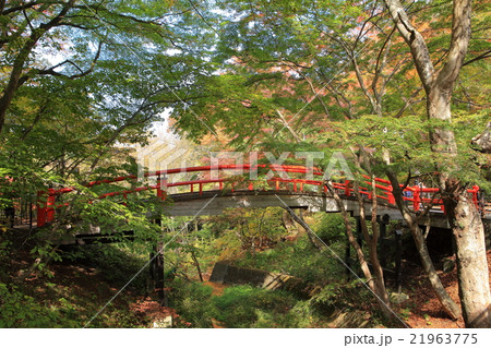 伊香保温泉　河鹿橋 21963775