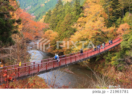 秋川渓谷紅葉の写真素材