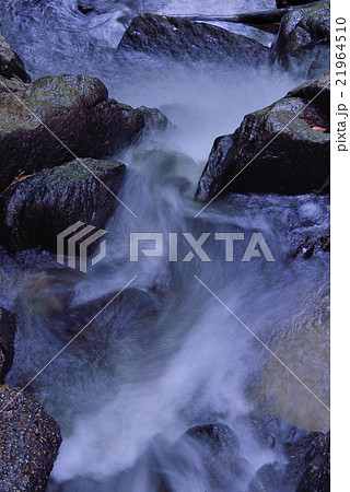 激流の権現滝 21964510