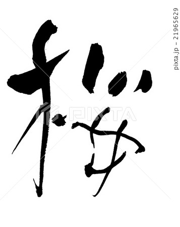 筆文字　桜 21965629