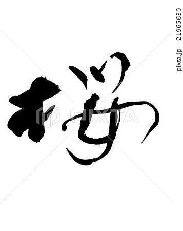 筆文字　桜 21965630