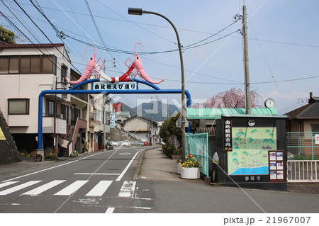 静岡県、由比桜えび通り 21967007