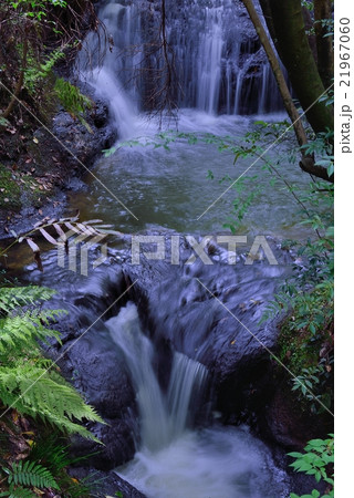 豪快な滝 21967060